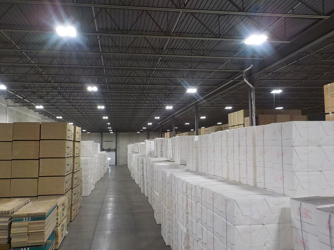 Transpacific employees working together